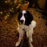 Ersteller:in LG Profilbild