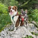 Ersteller:in Pam Profilbild