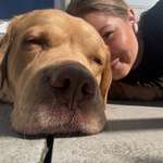 Ersteller:in Anna-Sophie Profilbild