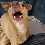 Ersteller:in Jacky Profilbild