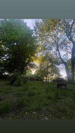 Hundeauslaufgebiet-Sunderweg-Bild