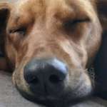 Ersteller:in Petra Profilbild