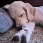 Ersteller:in Nicole Profilbild