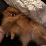 Ersteller:in Rosa Profilbild