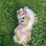 Ersteller:in Lisa Profilbild