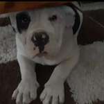 Ersteller:in Nici Profilbild