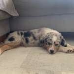 Ersteller:in Lucy Profilbild