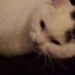 Ersteller:in Lea-Melina Profilbild