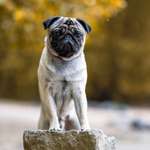 Ersteller:in Alexandra Profilbild