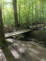 Hundeauslaufgebiet-Israelsdorf-Bild