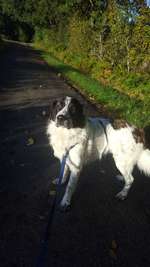 Ersteller:in Sarah Profilbild