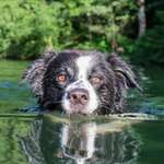Für Wasserfans-Beitrag-Bild