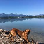 Ersteller:in Andreas Profilbild