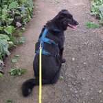 Ersteller:in Aniele Profilbild