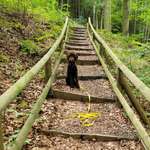 Ersteller:in Liane Profilbild