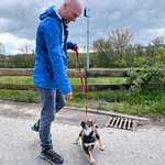 Ersteller:in Zachary Profilbild