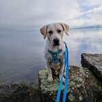 Ersteller:in Ilona Profilbild