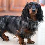 Ersteller:in Ina Profilbild