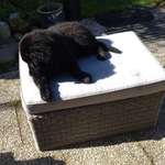 Ersteller:in Claudia Profilbild