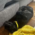 Ersteller:in J Profilbild