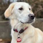 Ersteller:in Marieke Profilbild