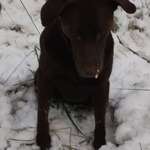 Ersteller:in Ulrike Profilbild