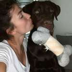 Ersteller:in Franzi Profilbild