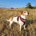 Ersteller:in Sara Profilbild