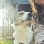 Ersteller:in Katharina Profilbild