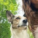 Ersteller:in Katharina Profilbild