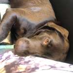 Ersteller:in Leonie Profilbild