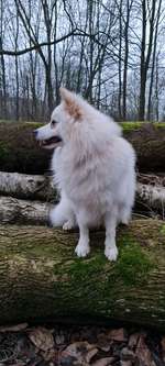 Schwimmen im Winter-Beitrag-Bild