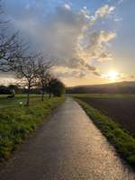 Hundeauslaufgebiet-Am alten Heckenplatz-Bild