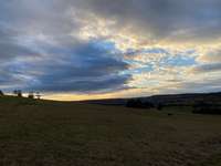 Hundeauslaufgebiet-Am Kneippbecken-Bild
