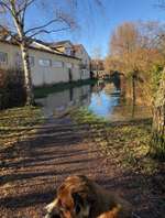 Hundeauslaufgebiet-Anlagerung Ebern-Bild