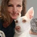 Ersteller:in Corinna Profilbild