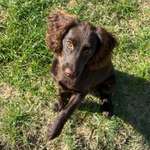 Ersteller:in Ashley Profilbild