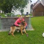 Ersteller:in Stefanie Profilbild