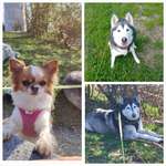 Ersteller:in Indino Profilbild