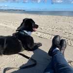 Ersteller:in Schnatter Profilbild