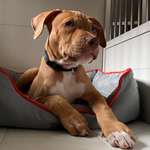 Ersteller:in ani Profilbild