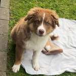 Ersteller:in Doreen Profilbild