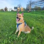 Ersteller:in Peter Profilbild