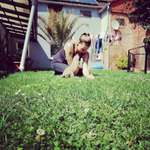 Ersteller:in Jeanin Profilbild