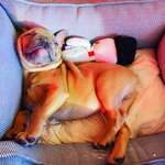 Ersteller:in Chiara Profilbild