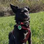 Ersteller:in nika Profilbild