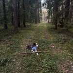 Ersteller:in Else Profilbild