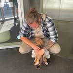 Ersteller:in Maurice Profilbild