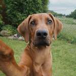 Ersteller:in Michelle Profilbild