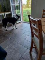 Wann eindecken bei Spondylose?-Beitrag-Bild